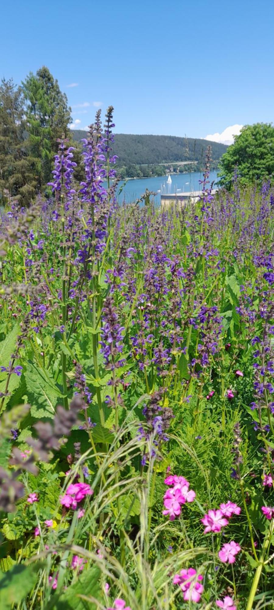 Glanz Und Gloria Velden! Woerthersee In 5 Min Zu Fuss Erreichbar! Velden am Worthersee Bagian luar foto